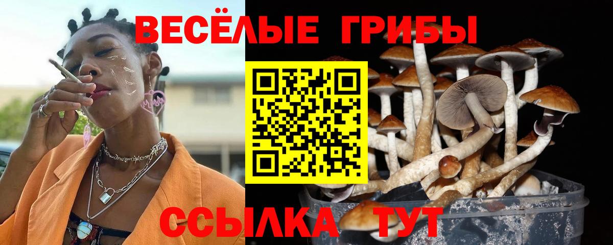 Лесозаводск  Псилоцибиновые грибы прущие грибы  где найти   Вход с VPN  Галлюциногенные грибы прущие грибы 
